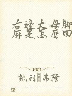 右边大母脚趾头麻是怎么回事封面