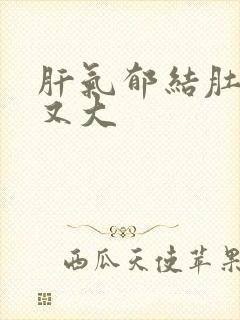 肝气郁结肚子胀又大