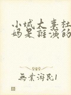 小城大事杜涛的妈是谁演的