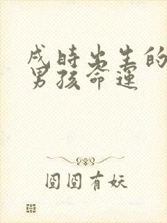 戌时出生的属狗男孩命运