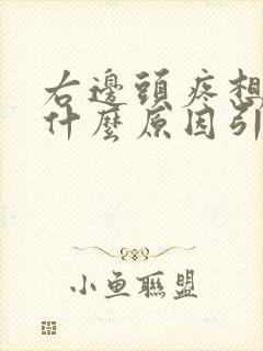 右边头疼想吐是什么原因引起的 女性