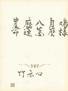 农历八月鸡男的命运怎么样