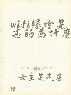 wifi绿灯是亮的为什么不能用