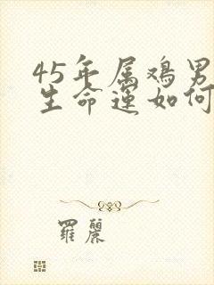 45年属鸡男一生命运如何封面