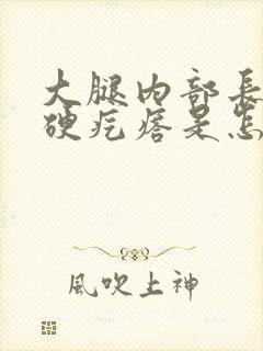 大腿内部长了个硬疙瘩是怎么回事