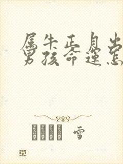 属牛正月出生的男孩命运怎么样封面