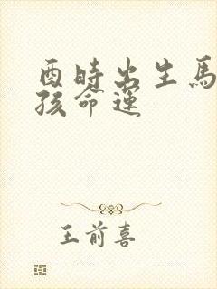 酉时出生马的男孩命运