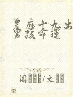 农历十九出生的男孩命运