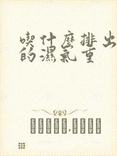 吃什么排出脾胃的湿气重