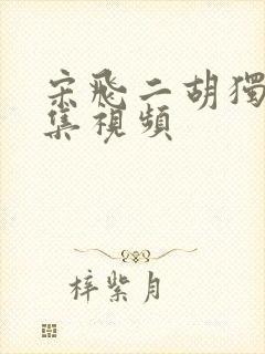 宋飞二胡独奏赶集视频