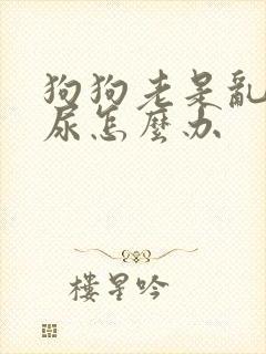 狗狗老是乱拉乱尿怎么办