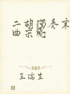 二胡独奏寒春风曲宋飞