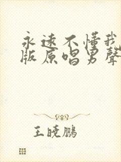 永远不懂我dj版原唱男声