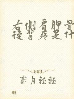 右侧肩胛骨下方后背疼是什么原因