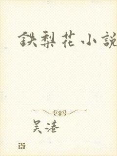 铁梨花小说