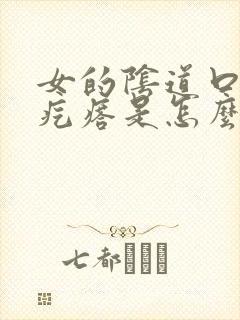 女的阴道口长硬疙瘩是怎么回事封面