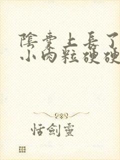 阴囊上长了一个小肉粒硬硬的封面