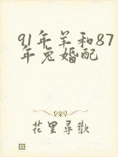 91年羊和87年兔婚配