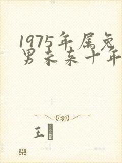 1975年属兔男未来十年年运程