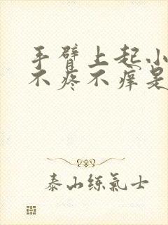 手臂上起小疙瘩不疼不痒是什么原因