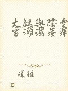 大腿与阴囊交界处潮湿瘙痒封面