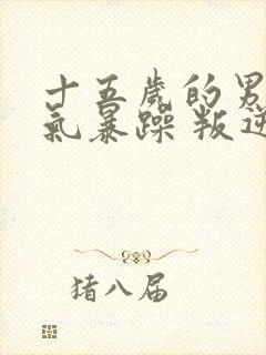 十五岁的男孩脾气暴躁 叛逆怎么办封面