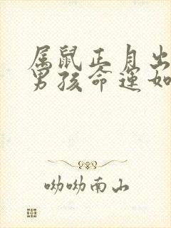 属鼠正月出生的男孩命运如何封面