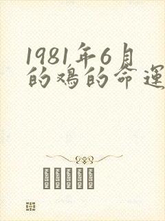 1981年6月的鸡的命运