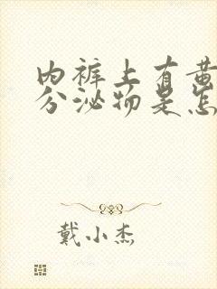 内裤上有黄黄的分泌物是怎么回事?封面