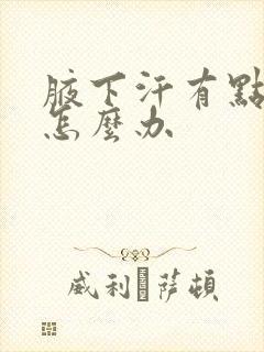 腋下汗有点臭味怎么办封面