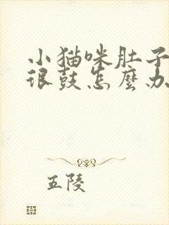 小猫咪肚子很大很鼓怎么办