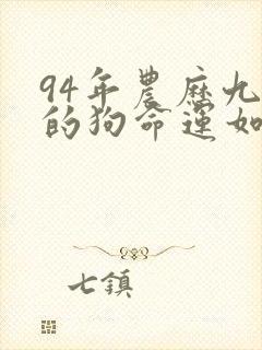 94年农历九月的狗命运如何封面