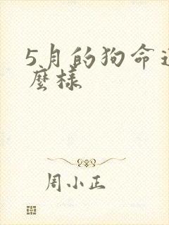 5月的狗命运怎么样