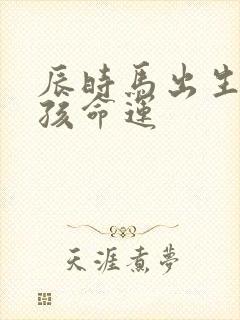 辰时马出生的男孩命运