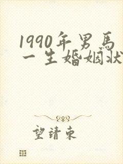 1990年男马一生婚姻状况封面