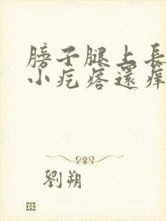 膀子腿上长好多小疙瘩还痒