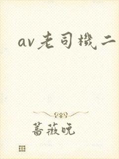av老司机二区