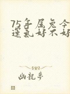 75年属兔今天运气好不好呢