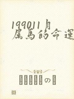 199011月属马的命运怎么样