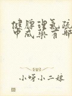 健脾理气疏肝的中成药有哪些封面