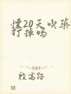 怀20天吃药能打掉吗