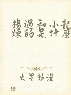 杨过和小龙女修炼的是什么功夫封面