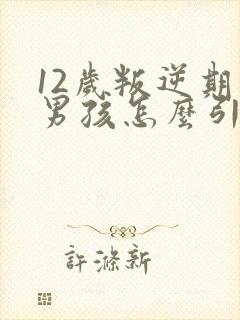 12岁叛逆期的男孩怎么引导