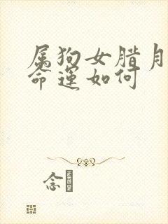 属狗女腊月出生命运如何封面