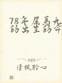 78年属马九月的出生的命运封面