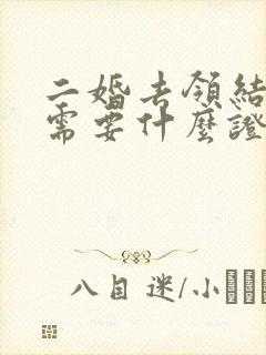 二婚去领结婚证需要什么证件