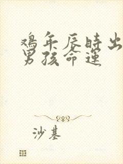 鸡年辰时出生的男孩命运