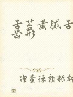 舌苔黄腻舌边锯齿形