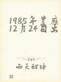 1985年农历12月24日出生的命运怎样