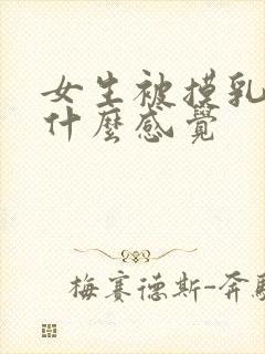 女生被摸乳房是什么感觉